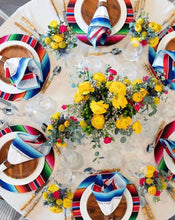 Load image into Gallery viewer, Serape Cover