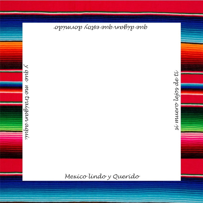 Serape Napkin